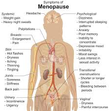 symptoms of meno